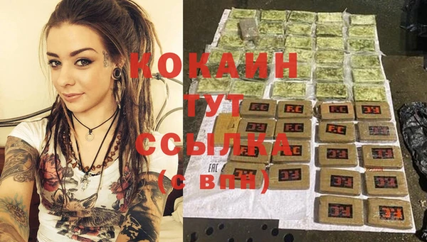 индика Алексеевка