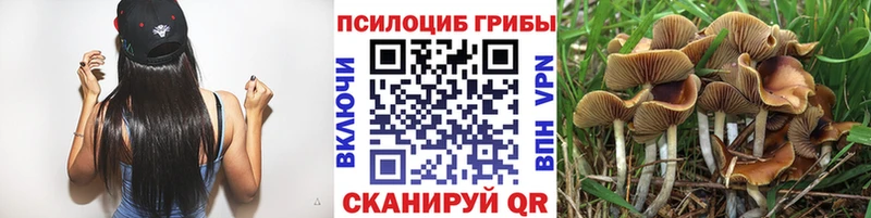хочу наркоту  Усть-Кут  Галлюциногенные грибы ЛСД 