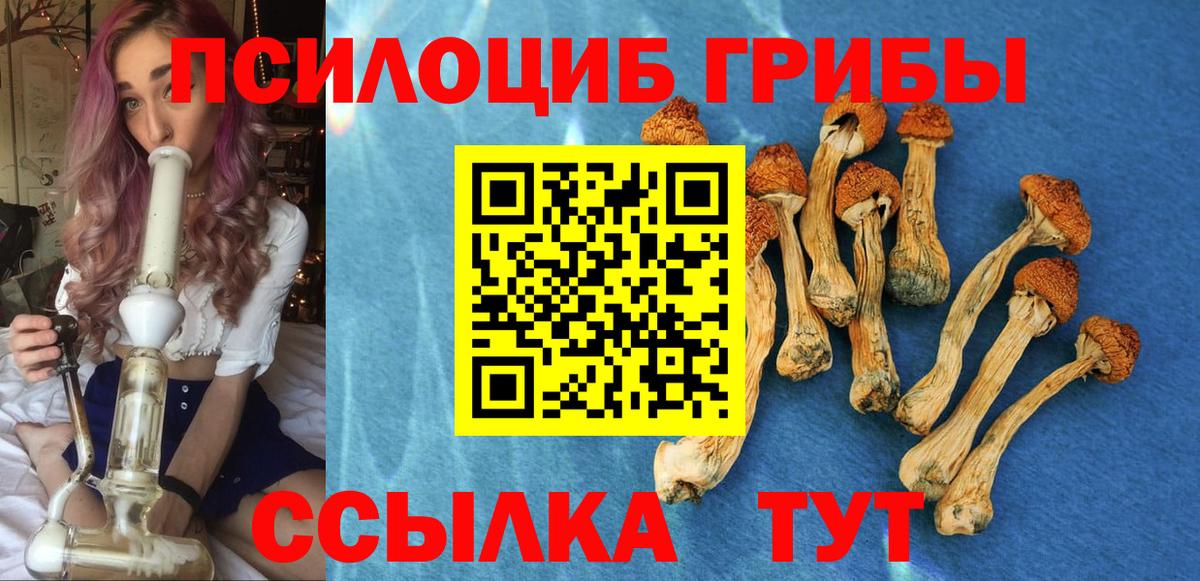 Псилоцибиновые грибы ЛСД Усть-Кут
