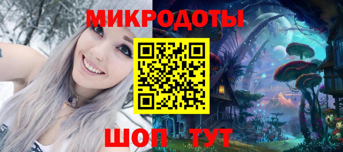 Усть-Кут  Галлюциногенные грибы Psilocybe  Вход с VPN 